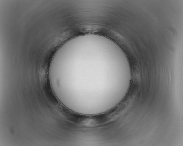 X0000114030460200910161823