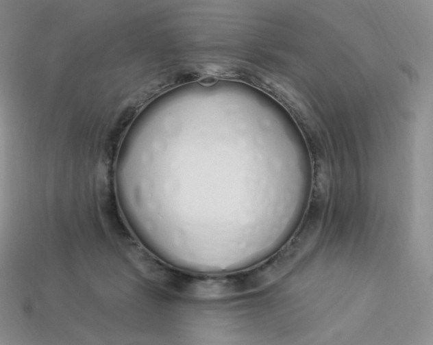 X0000114030461200910161823