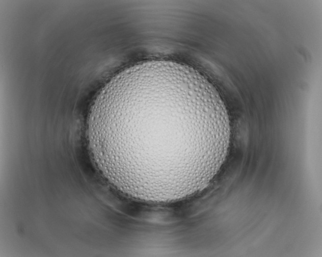 X0000114030463200910161824