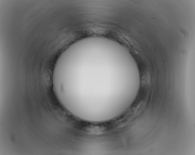 X0000114030464200910161824