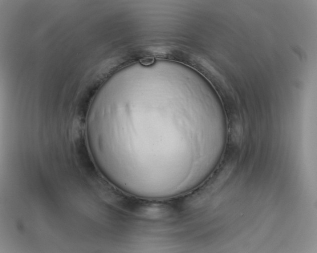 X0000114030467200910161824