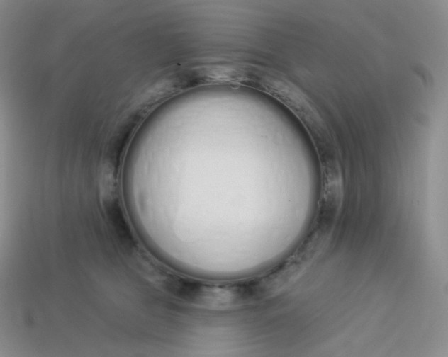 X0000114030469200910161824