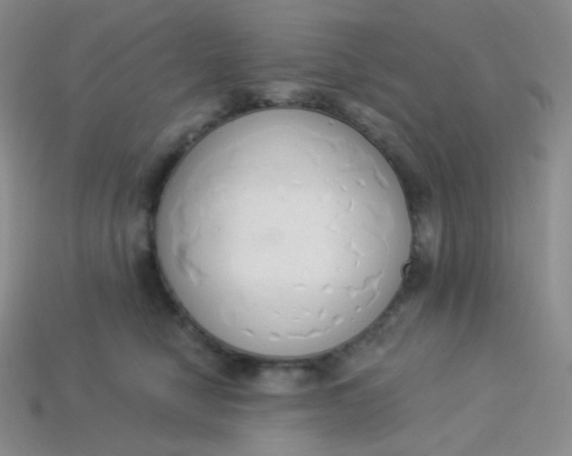 X0000114030470200910161824