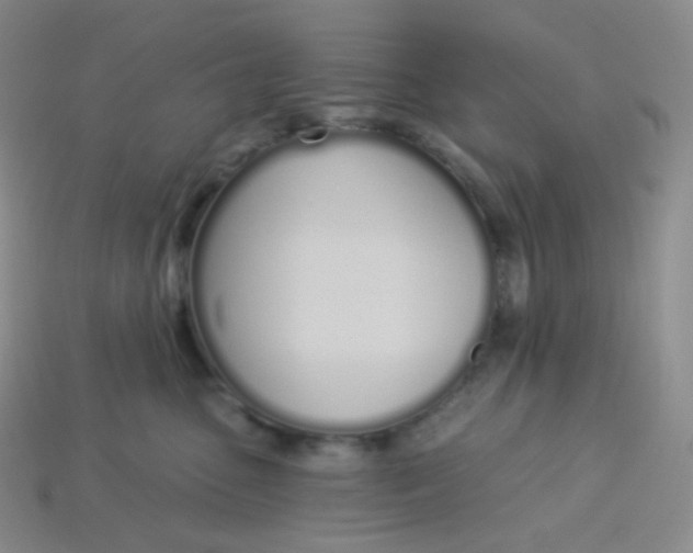 X0000114030475200910161824