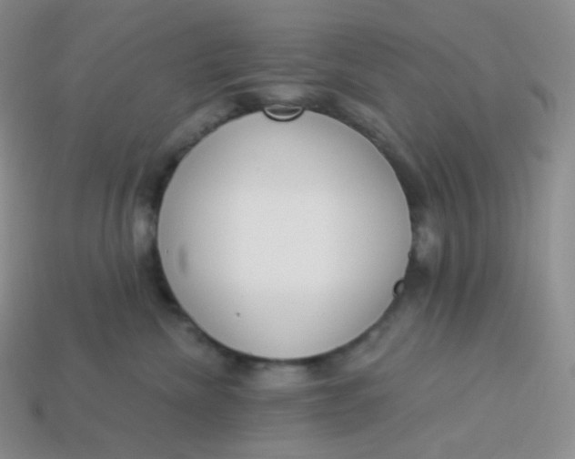 X0000114030476200910161824