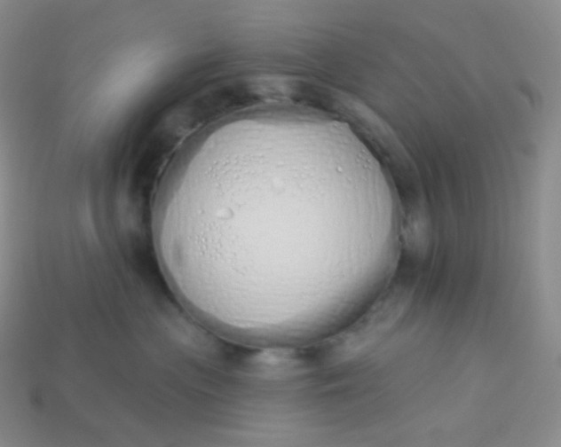 X0000114030477200910161824