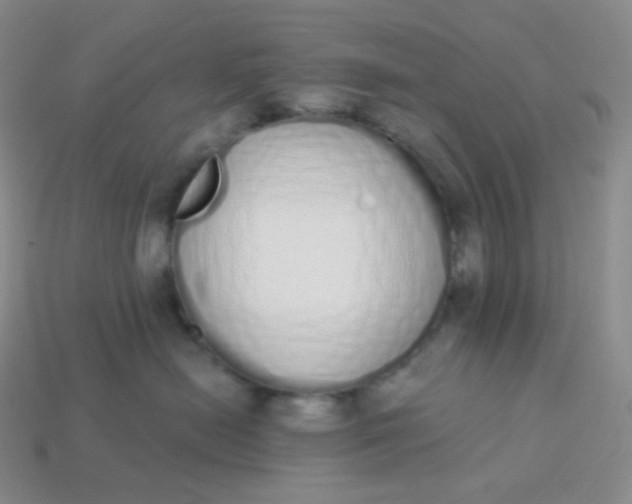 X0000114030478200910161824