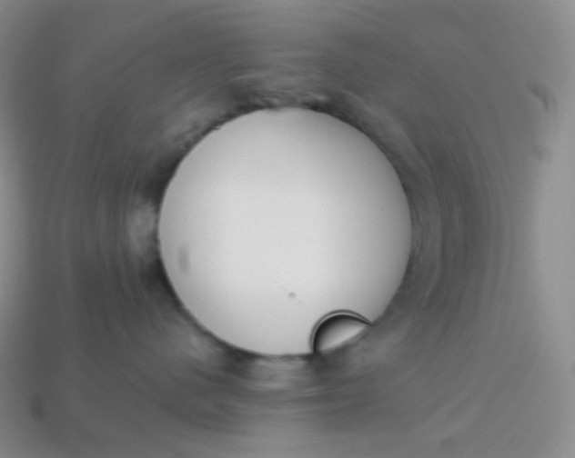 X0000114030480200910161824