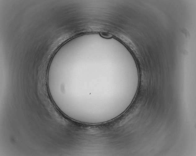 X0000114030481200910161823