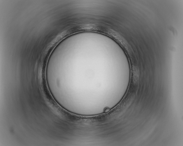 X0000114030482200910161823