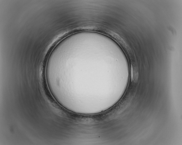 X0000114030483200910161823