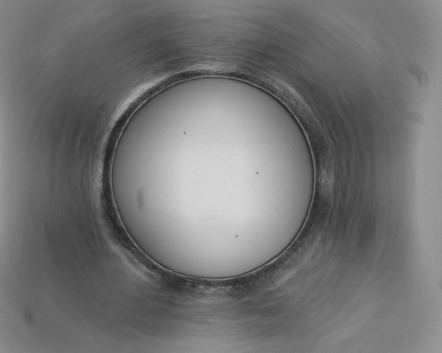 X0000114030484200910161823