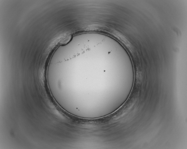 X0000114030485200910161823