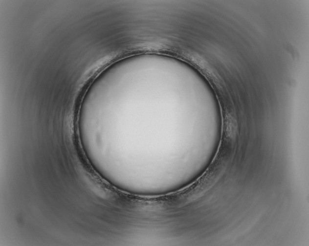 X0000114030486200910161823