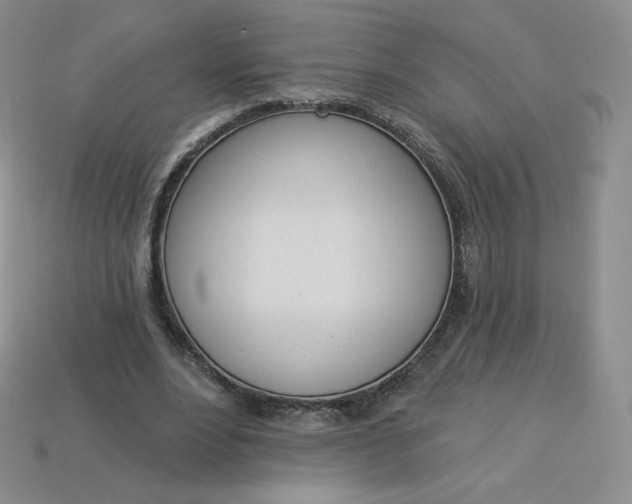 X0000114030488200910161823