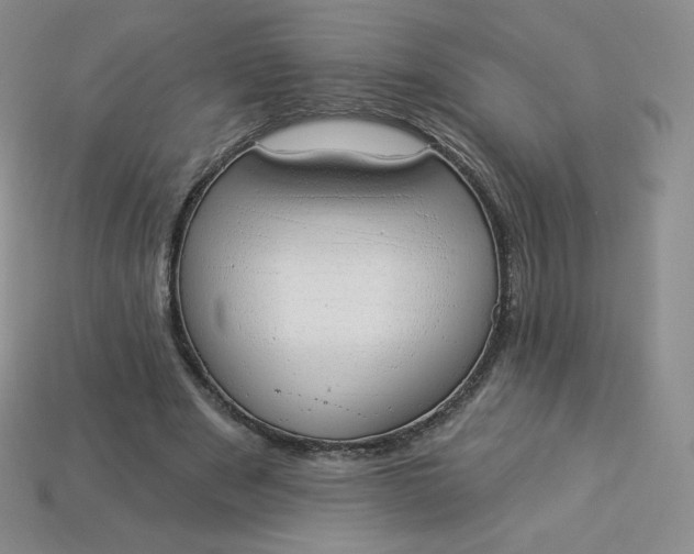 X0000114030489200910161823