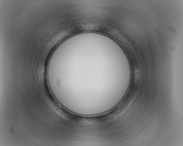 X0000114030490200910161823