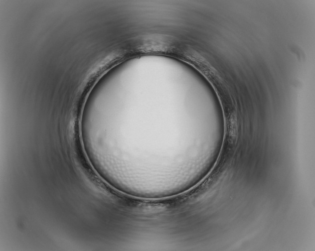 X0000114030491200910161823