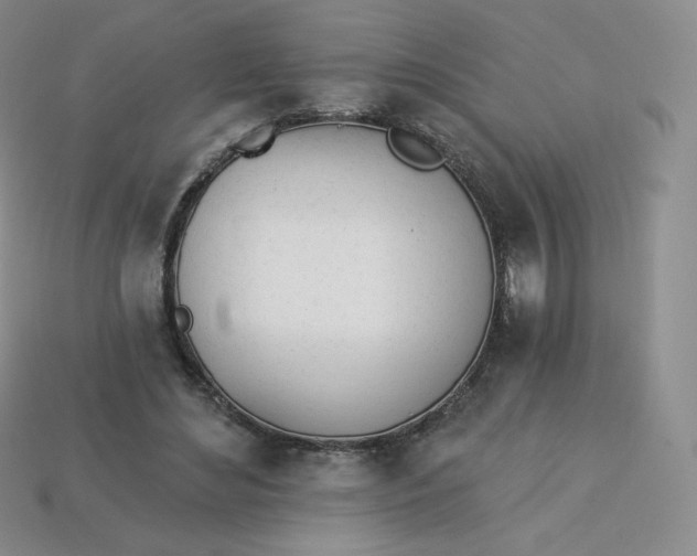 X0000114030492200910161823