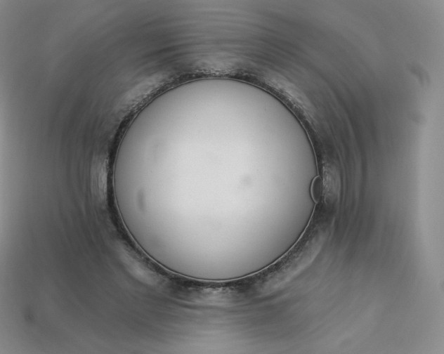 X0000114030493200910161823