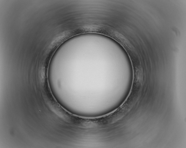 X0000114030494200910161823