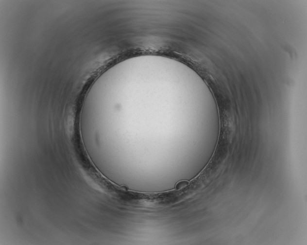 X0000114030496200910161823