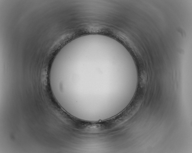 X0000114030497200910161823