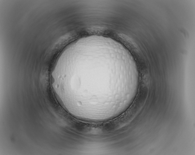 X0000114030498200910161823