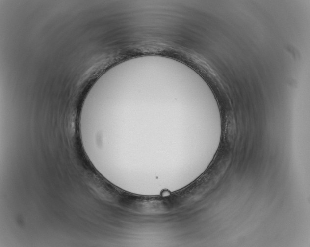 X0000114030501200910161823