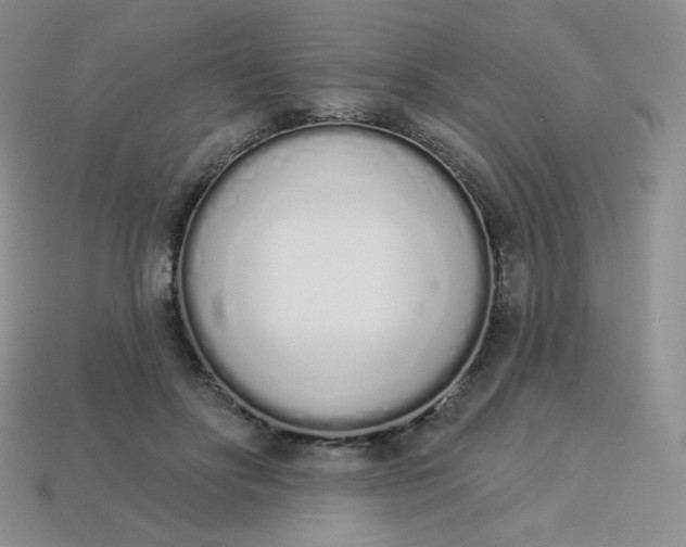 X0000114030502200910161823