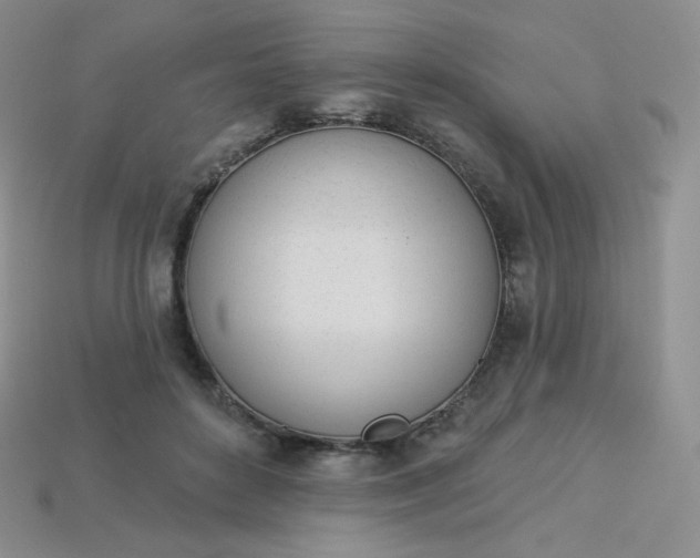 X0000114030504200910161823