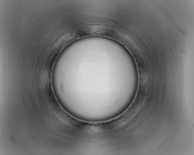 X0000114030506200910161823