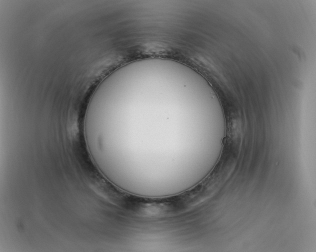 X0000114030508200910161823