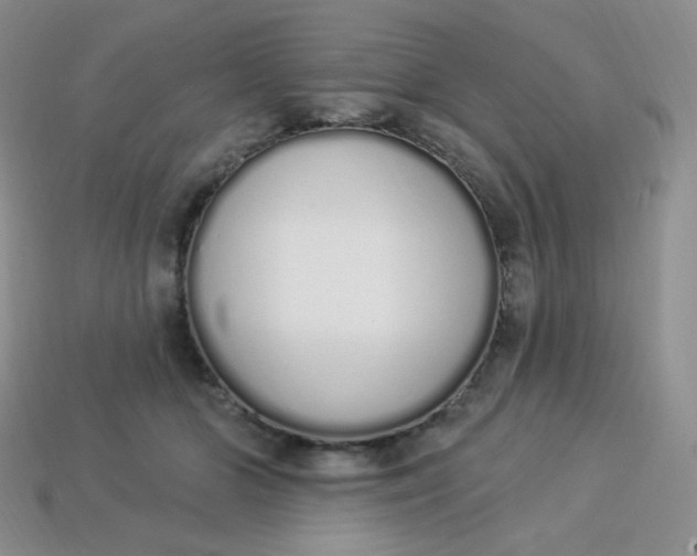 X0000114030510200910161823