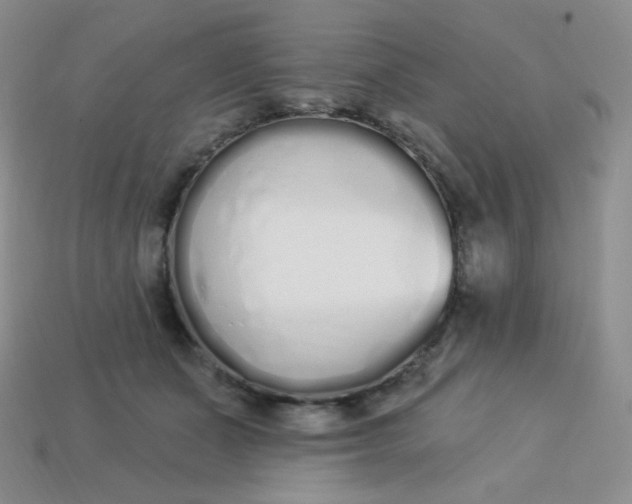 X0000114030511200910161823