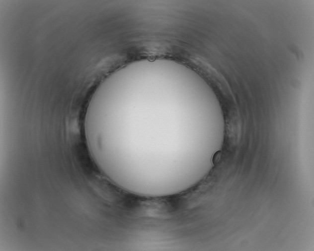 X0000114030516200910161823