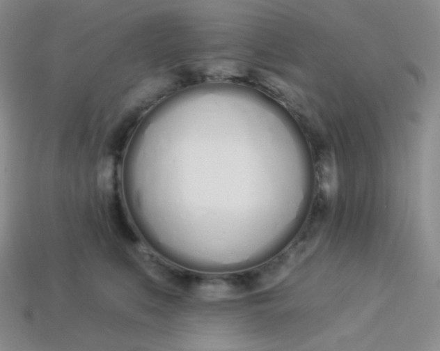 X0000114030519200910161823