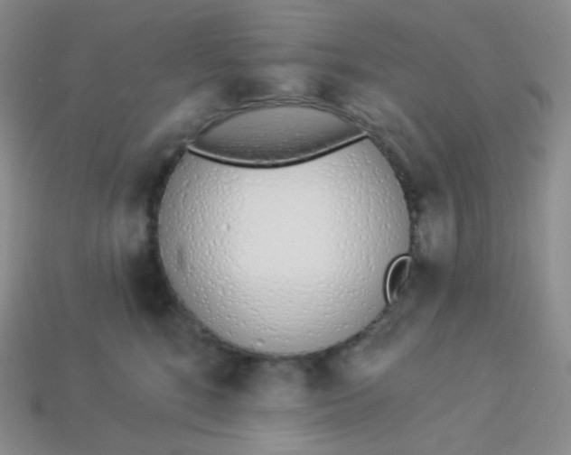 X0000114030520200910161823