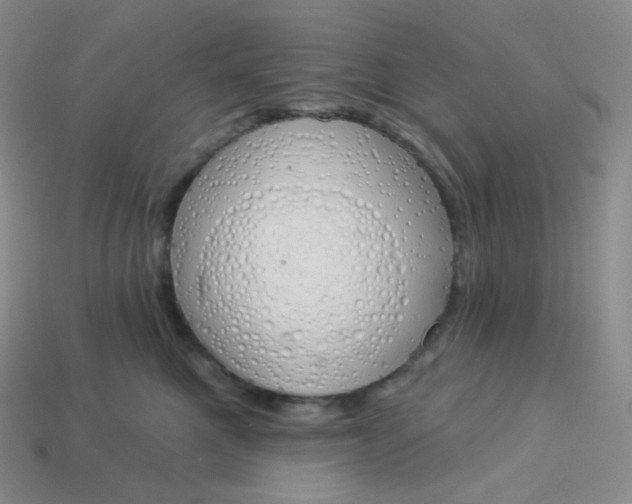 X0000114030521200910161822