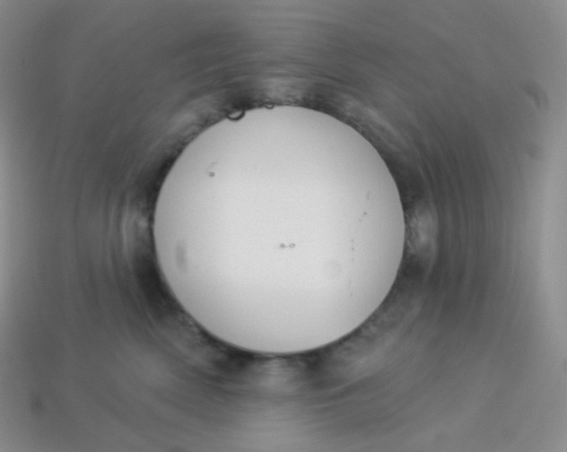 X0000114030522200910161822