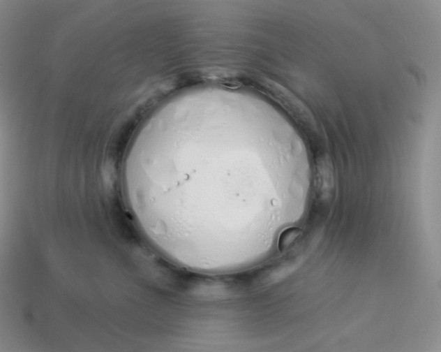 X0000114030523200910161822