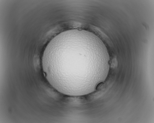 X0000114030524200910161822