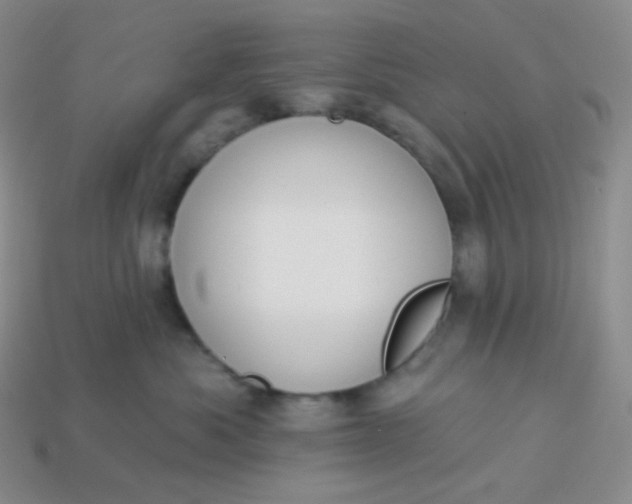 X0000114030525200910161822