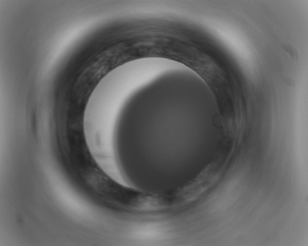 X0000114030526200910161822