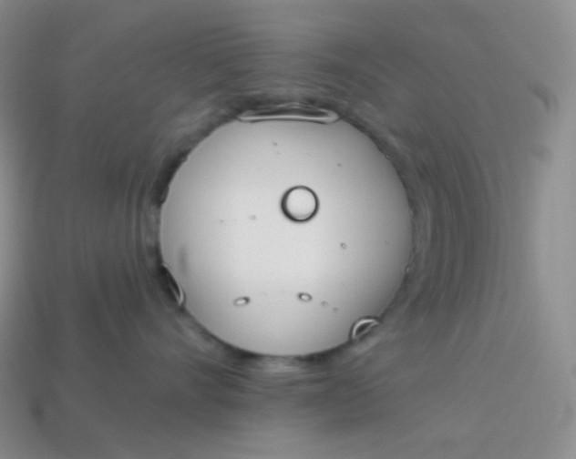 X0000114030528200910161822