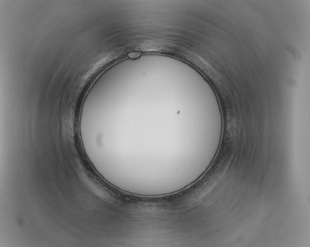 X0000114030530200910161822