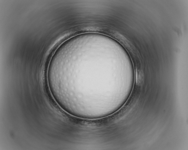 X0000114030531200910161822