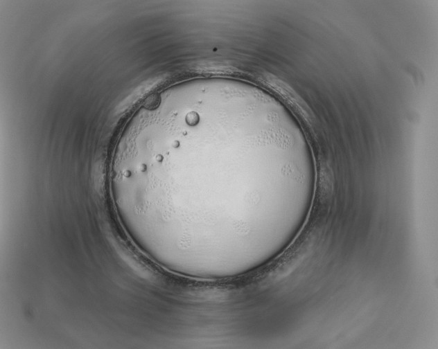 X0000114030533200910161822