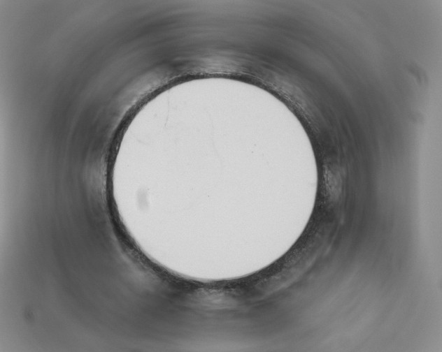 X0000114030534200910161822