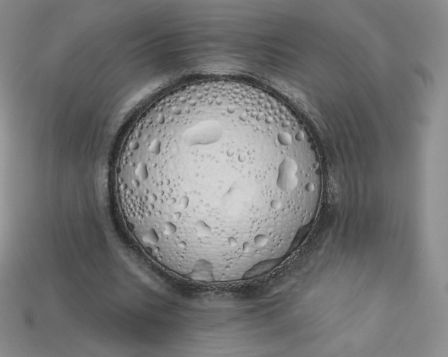 X0000114030535200910161822